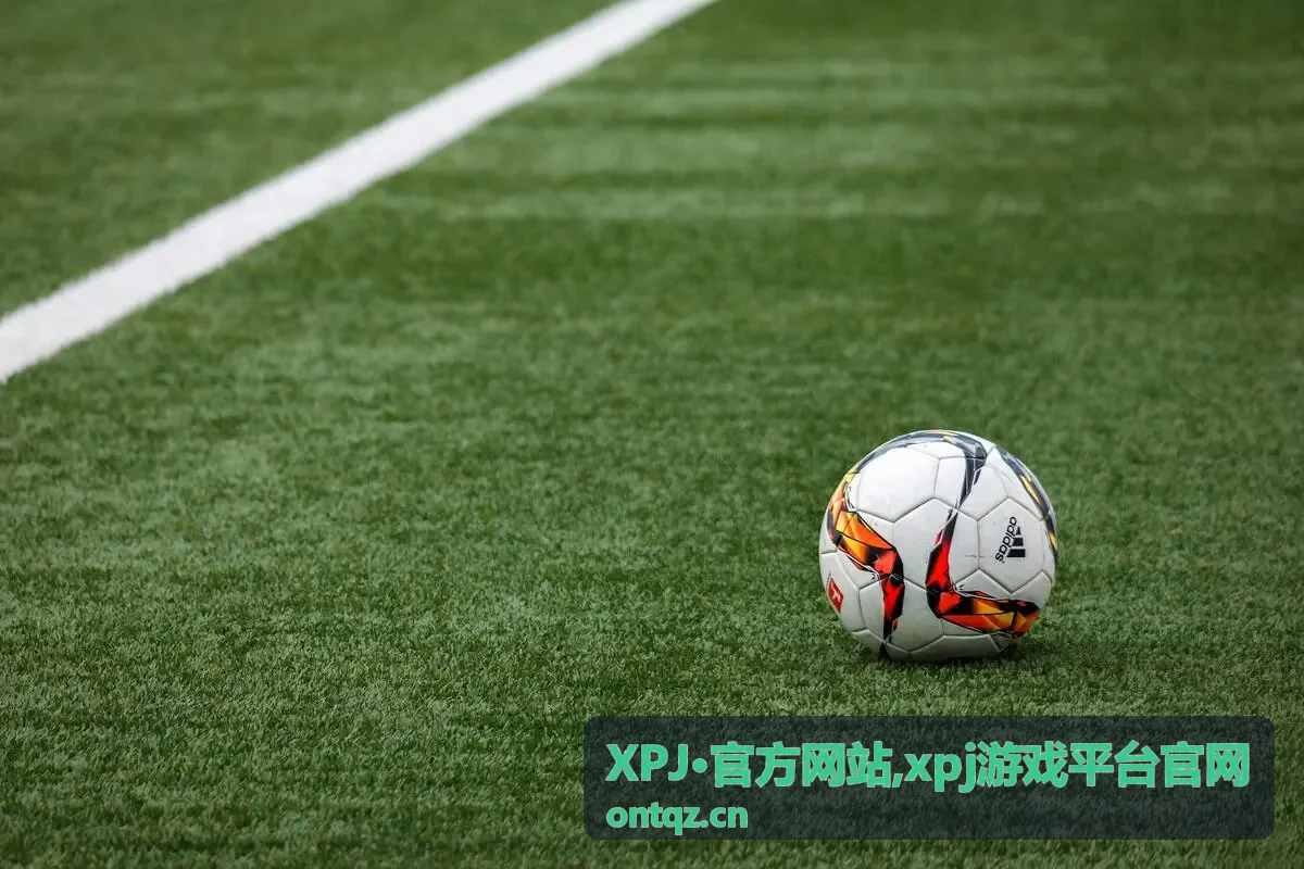 XPJ·官方网站 平台导览封面图